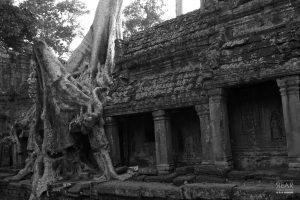 Ta-Prohm